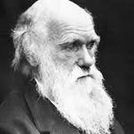 Connor Coakley - @charles_darwin_cc - Instagram