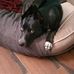 Conor Coakley - Facebook