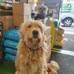 Conor Cooney - @conor.cooney.90 - Instagram