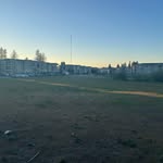 Conor Elliott - @conor.elliott - Instagram