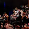 TheDonegalFiddler - @conorelliott7 - TikTok