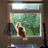 Connor Evans - @connor.evans421 - TikTok