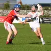conor fla - @conorflaherty11 - TikTok