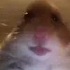Conor Ford555 - @user6975694717435 - TikTok