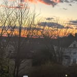 Conor Forden - @conorforden - Instagram