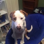 Connor Frederick - @connor.frederick.142 - Instagram