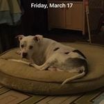 Connor GAffney - @gaffneyconnor - Instagram