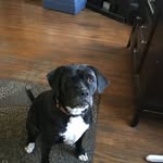 Conor Garrison - @conor.garrison - Instagram