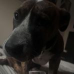 Connor Gill - Facebook