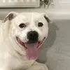 Conor Glennon - @conor.glennon8 - TikTok