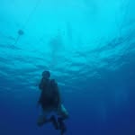 Conor Gorman - @conorgorman1 - Instagram