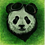 Conor Gorman - @gorman_conor - Instagram