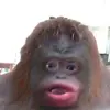 Conor Gorman - @conor_gorman1475 - TikTok