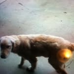 Connor Gross - @connorgross2004 - Instagram
