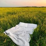 Conor Gross - @gross.conor - Instagram