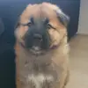 Connor Hancock855 - @worzone.hub - TikTok