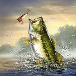 Connor Hanson - @fishwithconnor - Instagram