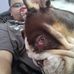 Connor Hardy - Facebook