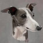 Conor Hardy - @cnr_hrdyart - Instagram