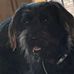 Conor Harris - Facebook