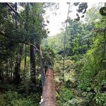 @conor_hart - Instagram