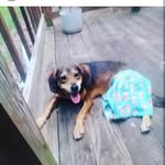 connor hicks - @spazzy567 - Instagram