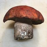 Conor Higgins - @conor_higgins_ - Instagram