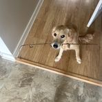 Connor Hill - Facebook