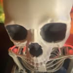 Conor Hines - @conor._.hines - Instagram