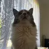 Connor Holder - @connor.holder3 - TikTok