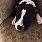 Conor Holder - Facebook
