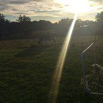 Conor Hudson - @mr_potatothatlivesunderyourbed - Instagram