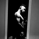 Conor Joseph - Facebook