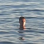 Conor Keane - @conor.keano - Instagram