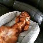 Conor Kilpatrick - @conor.kilpatrick - Instagram