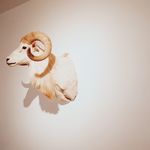 conoks_コノクス / 福山カフェ・ランチ - @conoks___ - Instagram