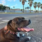 Connor Kramer - Facebook