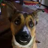 connor krueger - @connor.krueger7 - TikTok