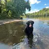 Connor Lambert - @connor.lambert_ - TikTok