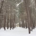 Connor Leach - @connor_leach23 - Instagram