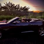 Conor Leahy - @leahy_conor - Instagram