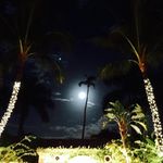Conor R. Leahy - @cleahy27 - Instagram