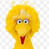 Conor Lee - @conorlee8 - TikTok