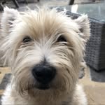 Conor Lloyd - @conor7697 - Instagram