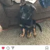 Connor Loftus - @connorloftus7 - TikTok