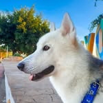 CONOR LÓPEZ CABRERA - @soy_conor_ - Instagram