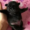 ilove.conor - @ilove.conor - TikTok