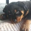 love_conor - @love_conor - TikTok