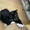 conorlowe22 - @conor.lowe - TikTok