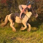 Conor lyons - @conorlyons150 - Instagram